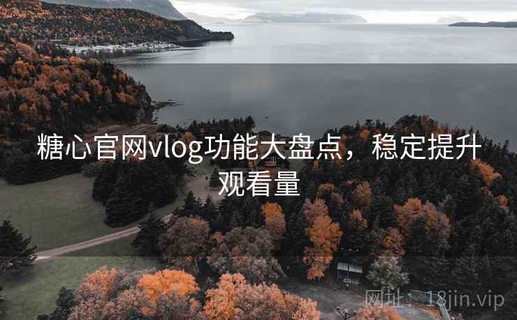 糖心官网vlog功能大盘点，稳定提升观看量
