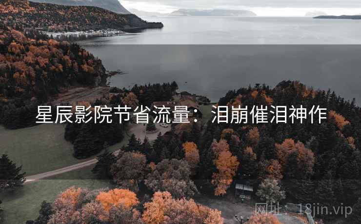 星辰影院节省流量:泪崩催泪神作